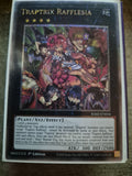 Traptrix Rafflesia RA02-EN034 QCR Yugioh