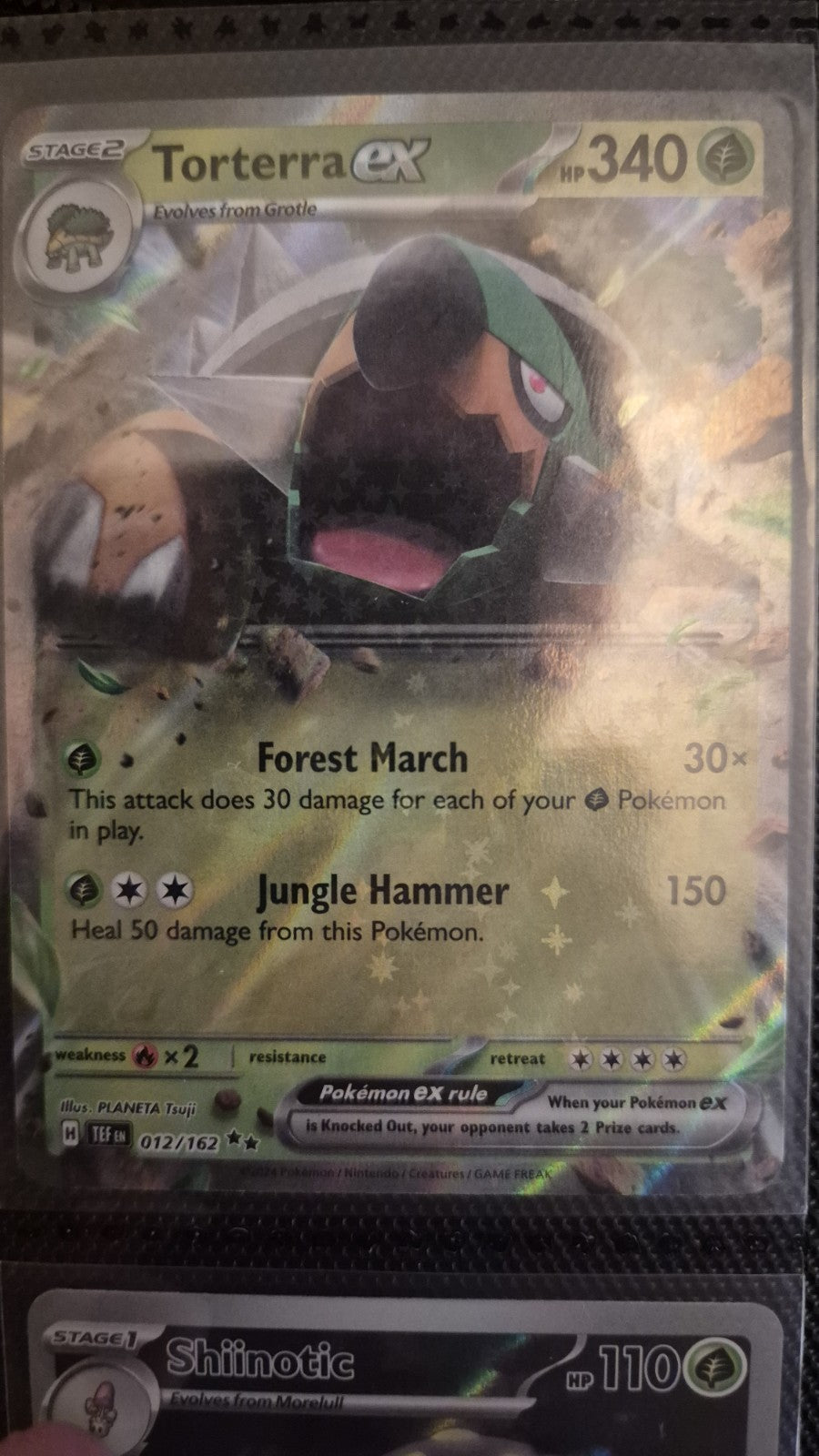 Torterra ex 012/162 Sv05: Temporal Forces Holo