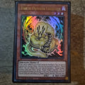 Yugioh TCG Tenpai Dragon Genroku INFO-EN019 Ultra Rare 1st Edition NM-M