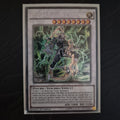 YuGiOh PSY-Framelord Omega Secret Rare 1st Edition HSRD-EN035 NM