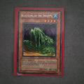 YUGIOH BEASTKING OF THE SWAMPS RARE TP1-E014 NM