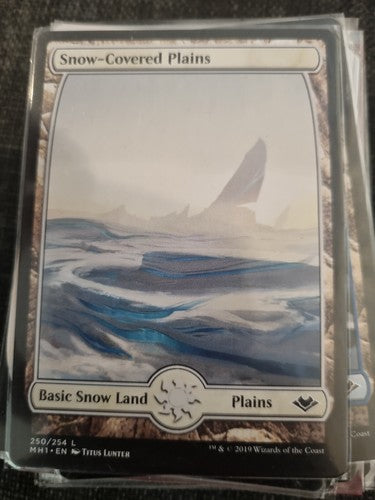 MTG - Snow-Covered Plains (MH1)