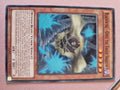 Blackwing - Gofu the Vague Shadow - TDIL-EN013 - Common - Yugioh
