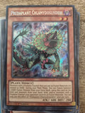 Predaplant Chlamydosundew - FUEN-EN005 - Secret Rare 1st Edition Yugioh