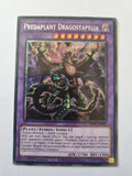 Yugioh - Predaplant Dragostapelia Platinum Secret Rare RA01-EN027 (NM)